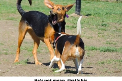 I'm really not mean.