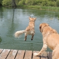 Zed-and-Maggie-watching-Darcy-launch-off-of-the-dock-1