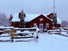 Dogs_at_Camp_Entrance