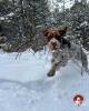 Loving the Snow